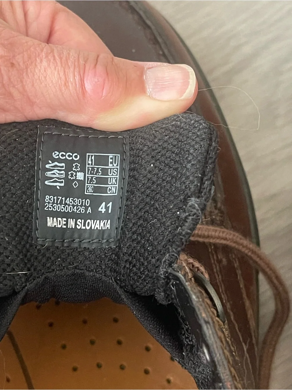 ECCO Track Brown Leather Gore-Tex Shoes